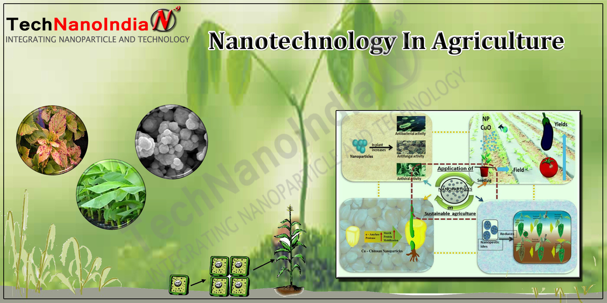 Nanotechnology in Agriculture img